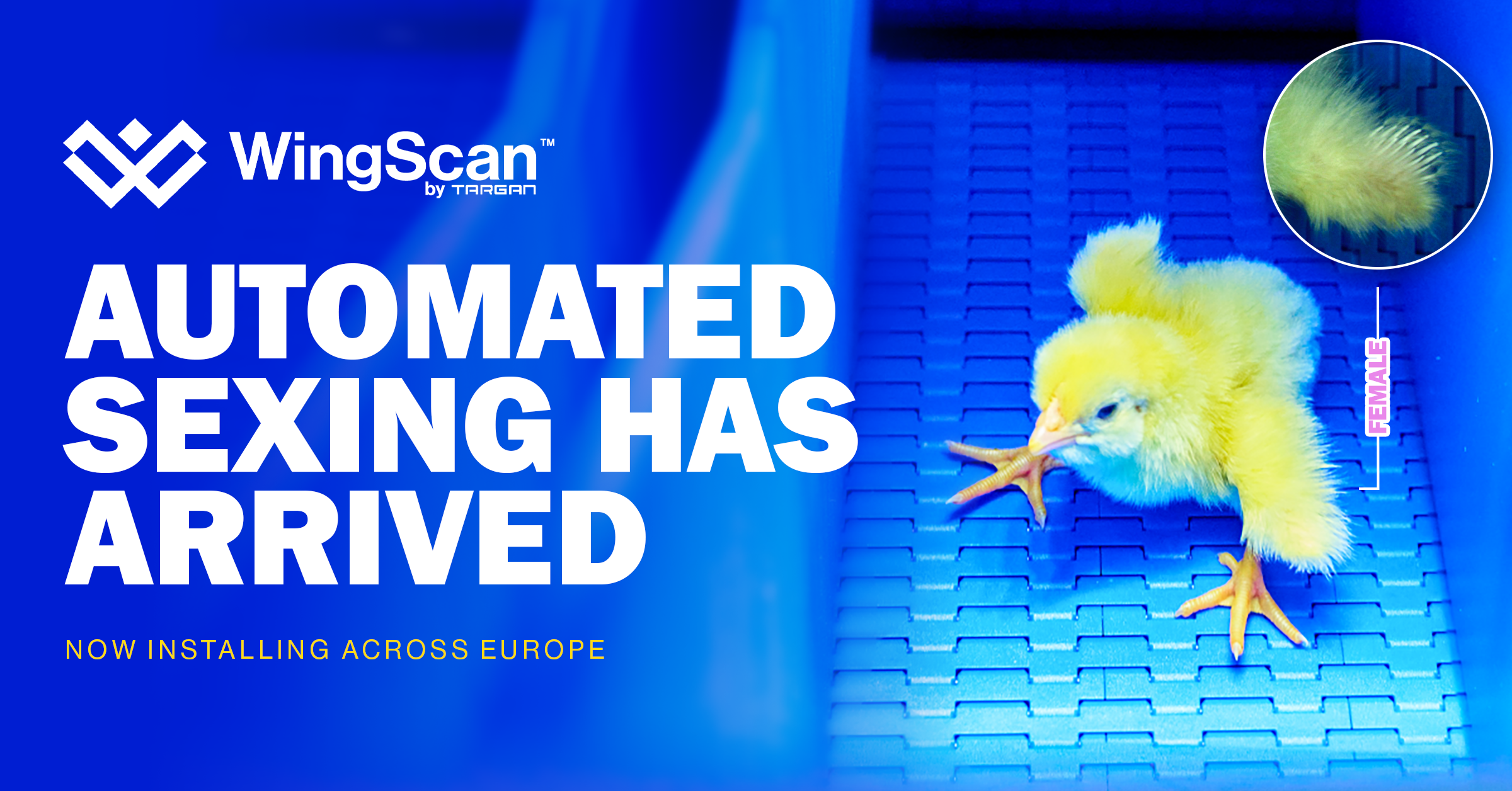 WingScan™ Lands in Europe