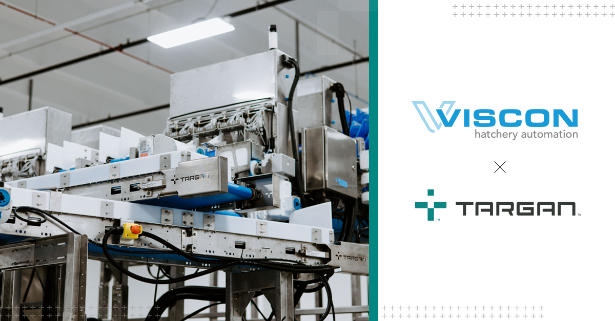 Revolutionary Feather-Sexing Solution: VISCON and TARGAN Announce Commercial Collaboration