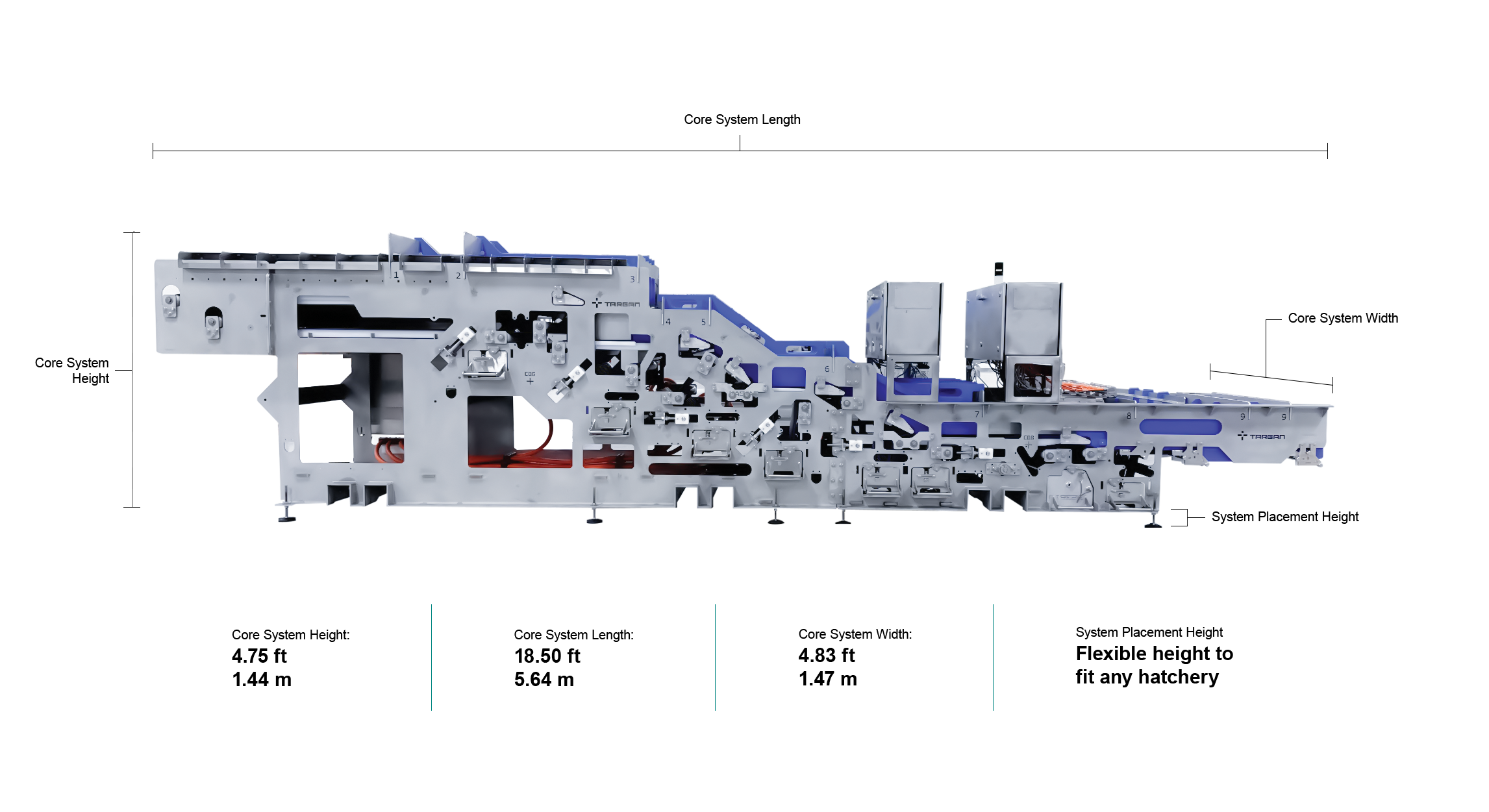 WingScan Website Demesions